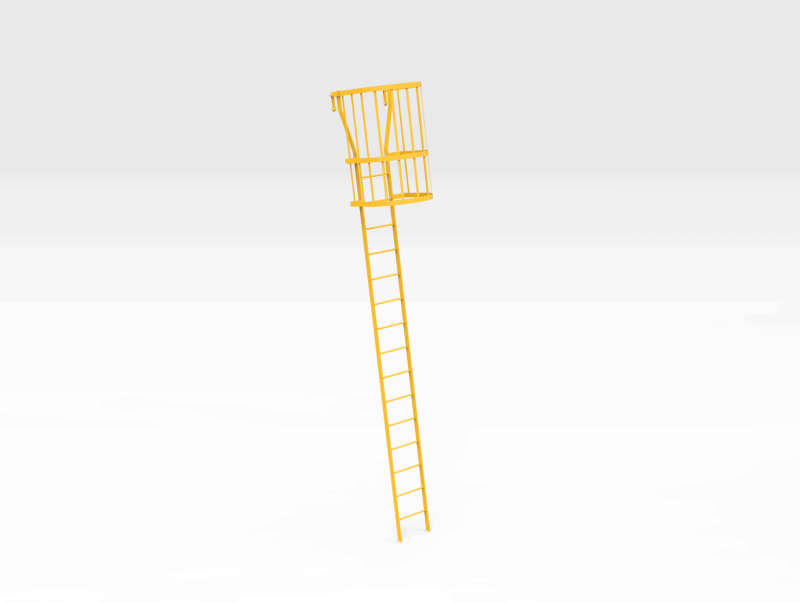 Ladder Cages